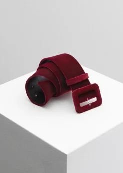 Belt Dip1
